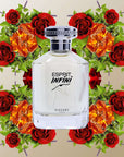 Esprit Infini